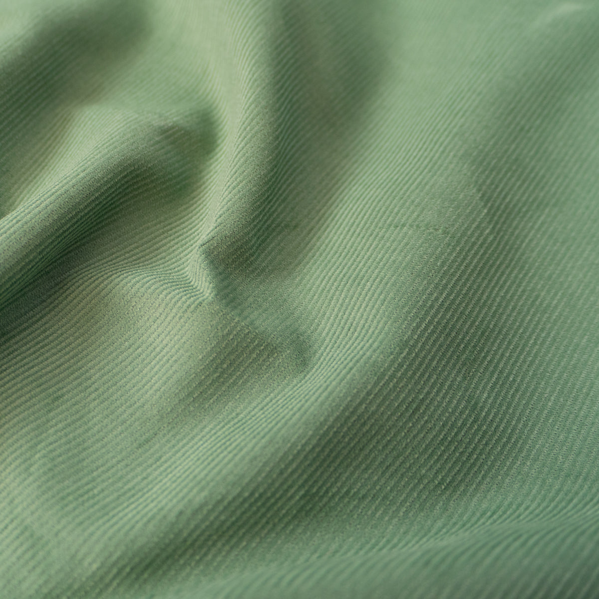 ikat-e-velours-milleraies-fin-coton-21w-tissu-vert-amande image 4