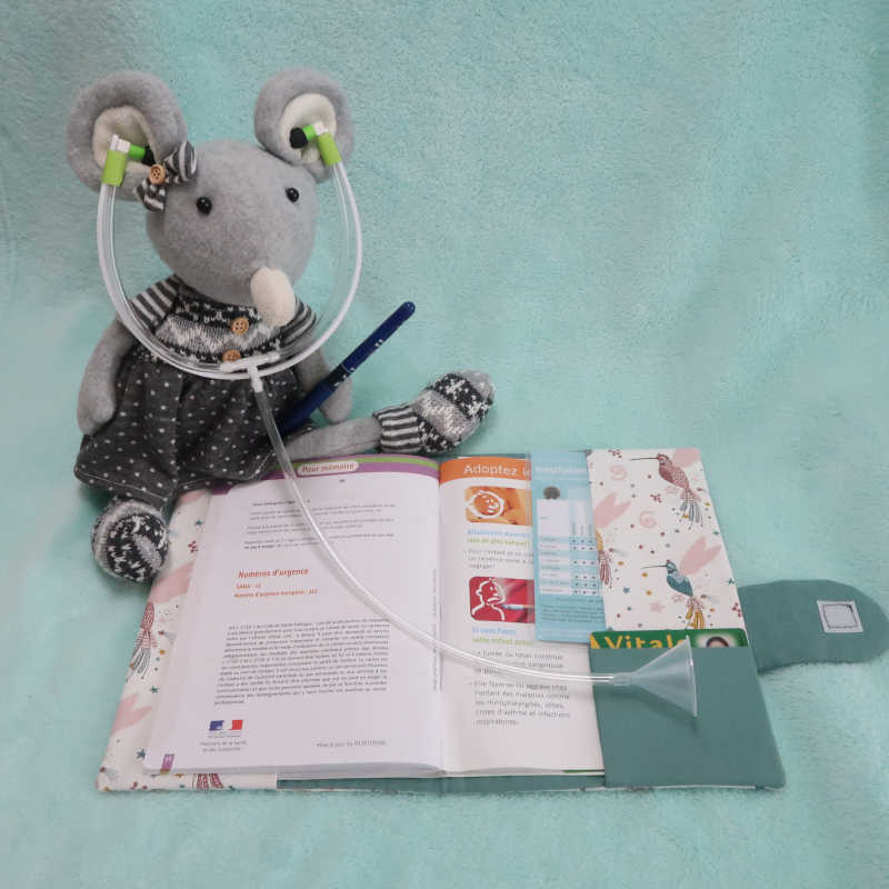 galoux-qui-coud-tout-pack-naissance-patron-pdf-prot-ge-carnet-trousse image 2