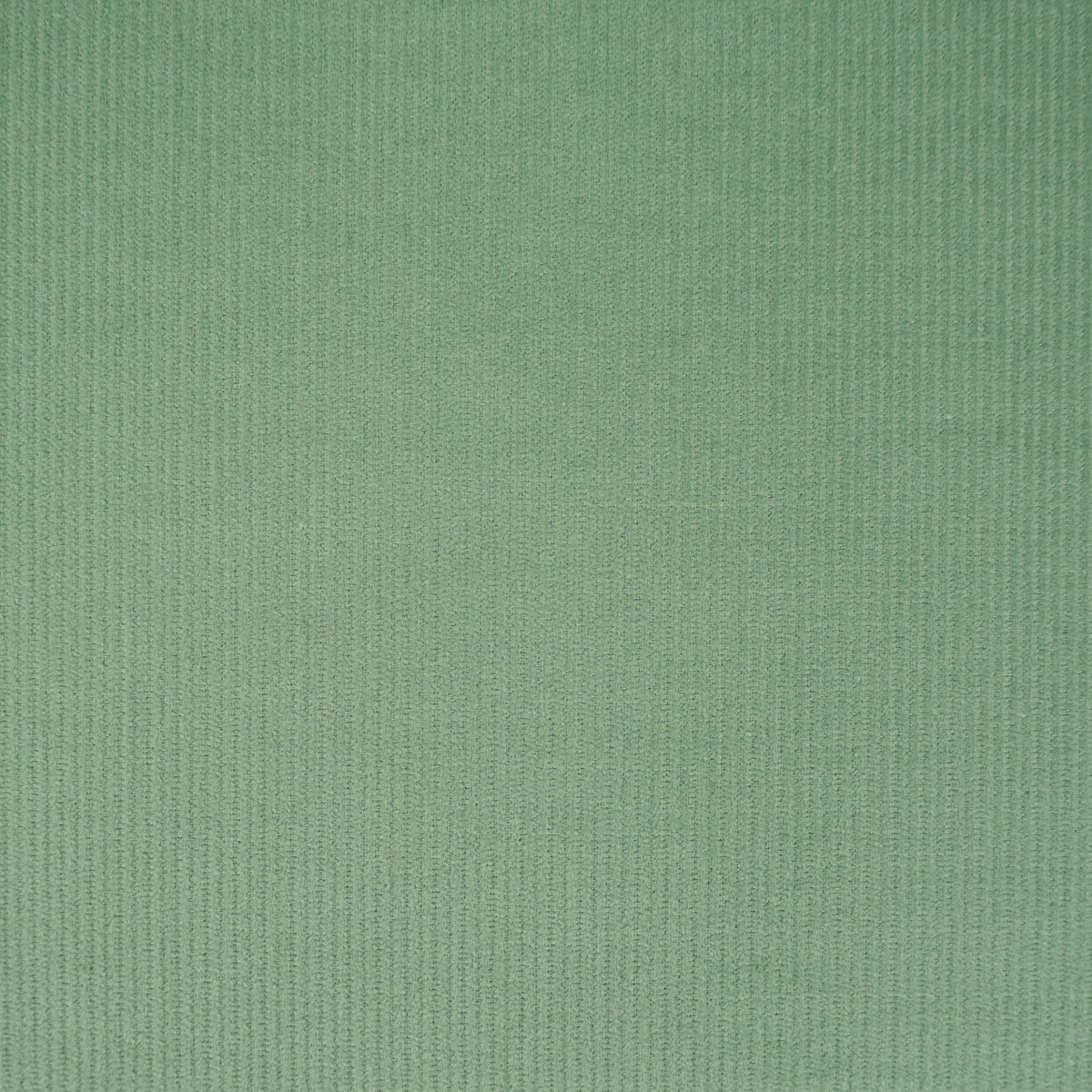 ikat-e-velours-milleraies-fin-coton-21w-tissu-vert-amande image 3