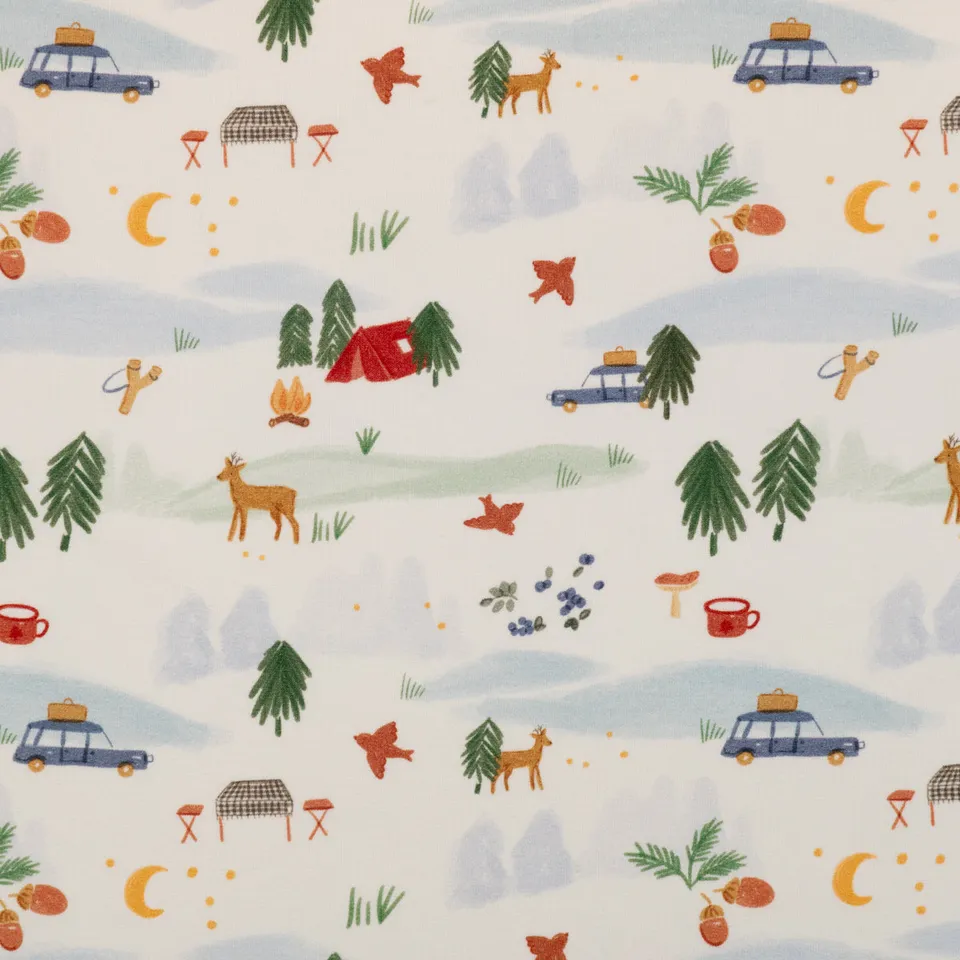 ikat-e-laponie-tissu-french-terry-bio-blanc-cass image 1