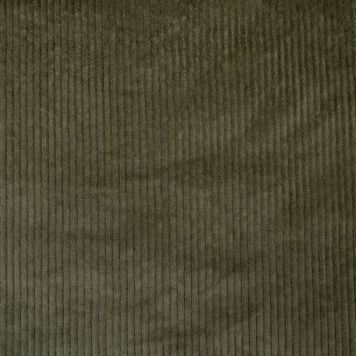 ikat-e-tissus-velours-moyennes-c-tes-kaki-tissu image 3