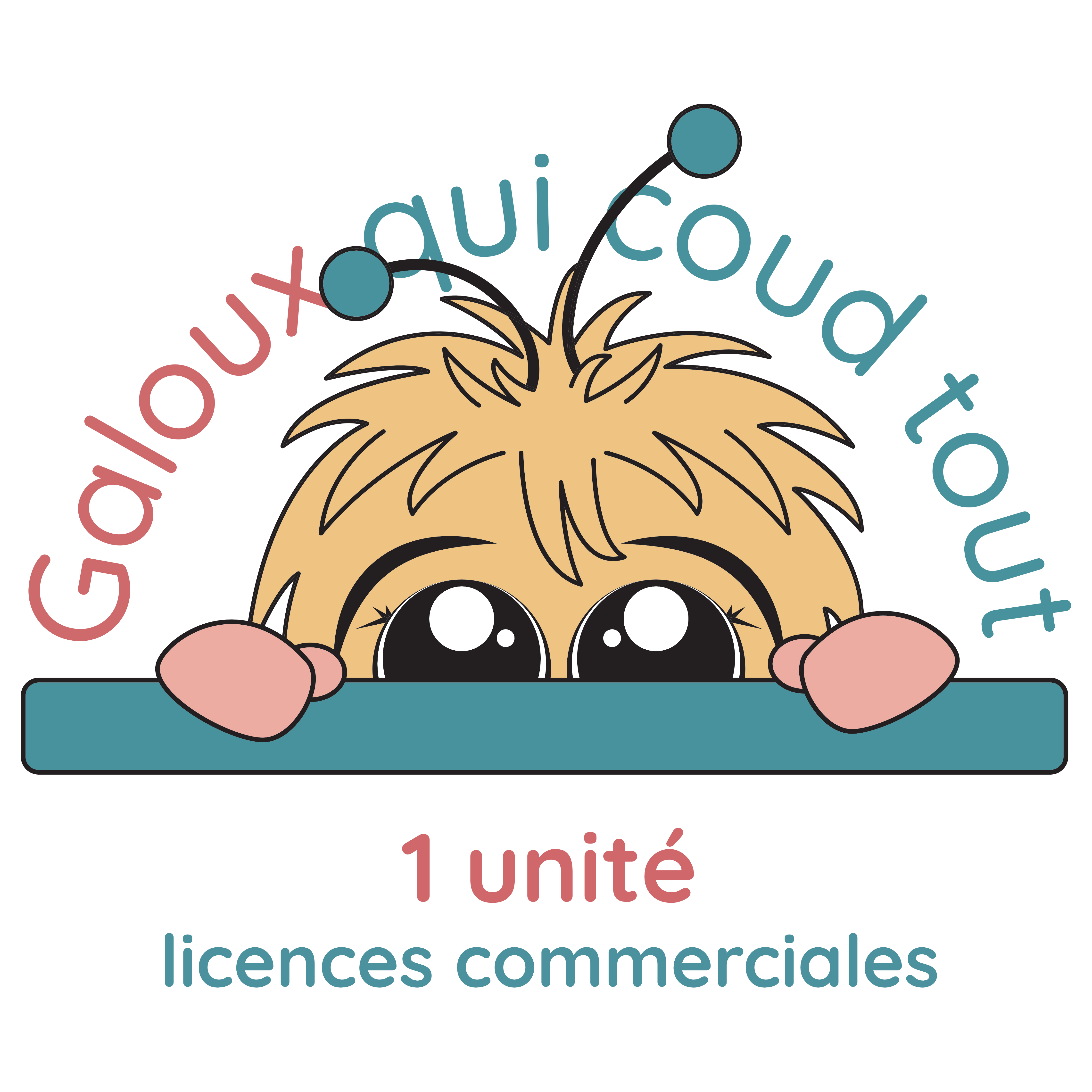 galoux-qui-coud-tout-licences-commerciales-couture-vente-cr-ations image 3