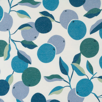 ikat-e-cocktail-tissu-french-terry-bio-blanc-agrumes image 4