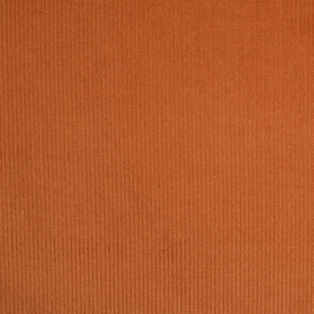ikat-e-tissus-velours-milleraies-fin-camel-uni-au-m-tre image 7