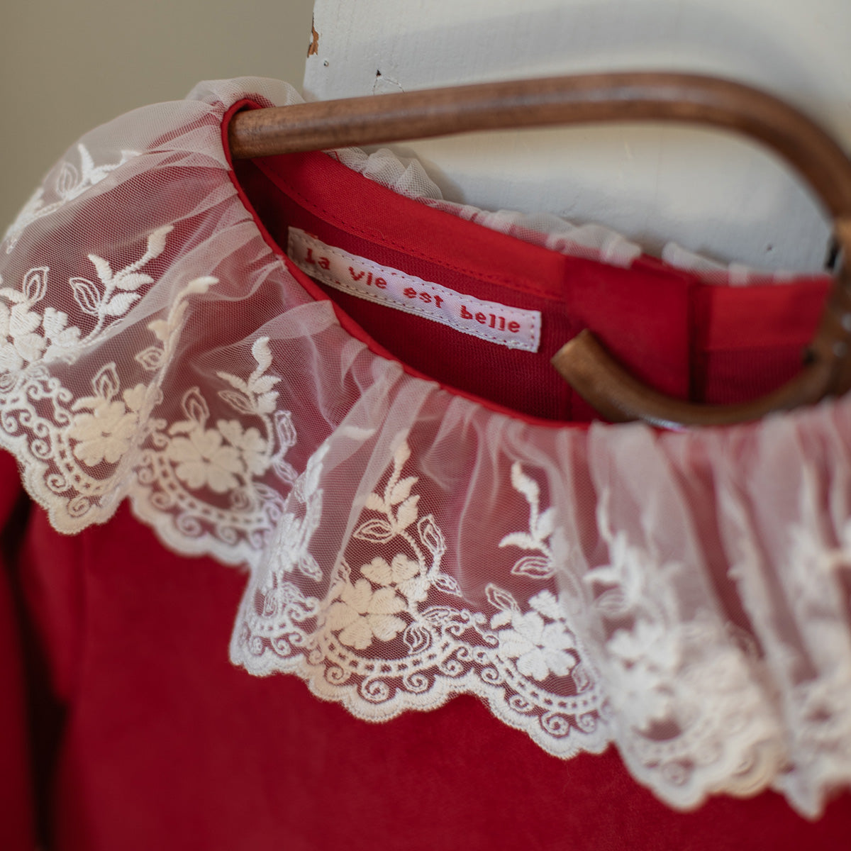 ikat-e-mercerie-galon-tulle-brod-cru-8-cm image 1