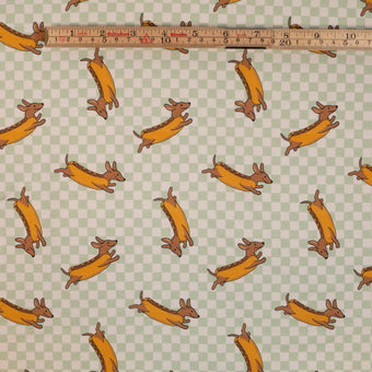 ikatee-chien-saucisse-tissu-french-terry-bio-vert-d-eau image 7