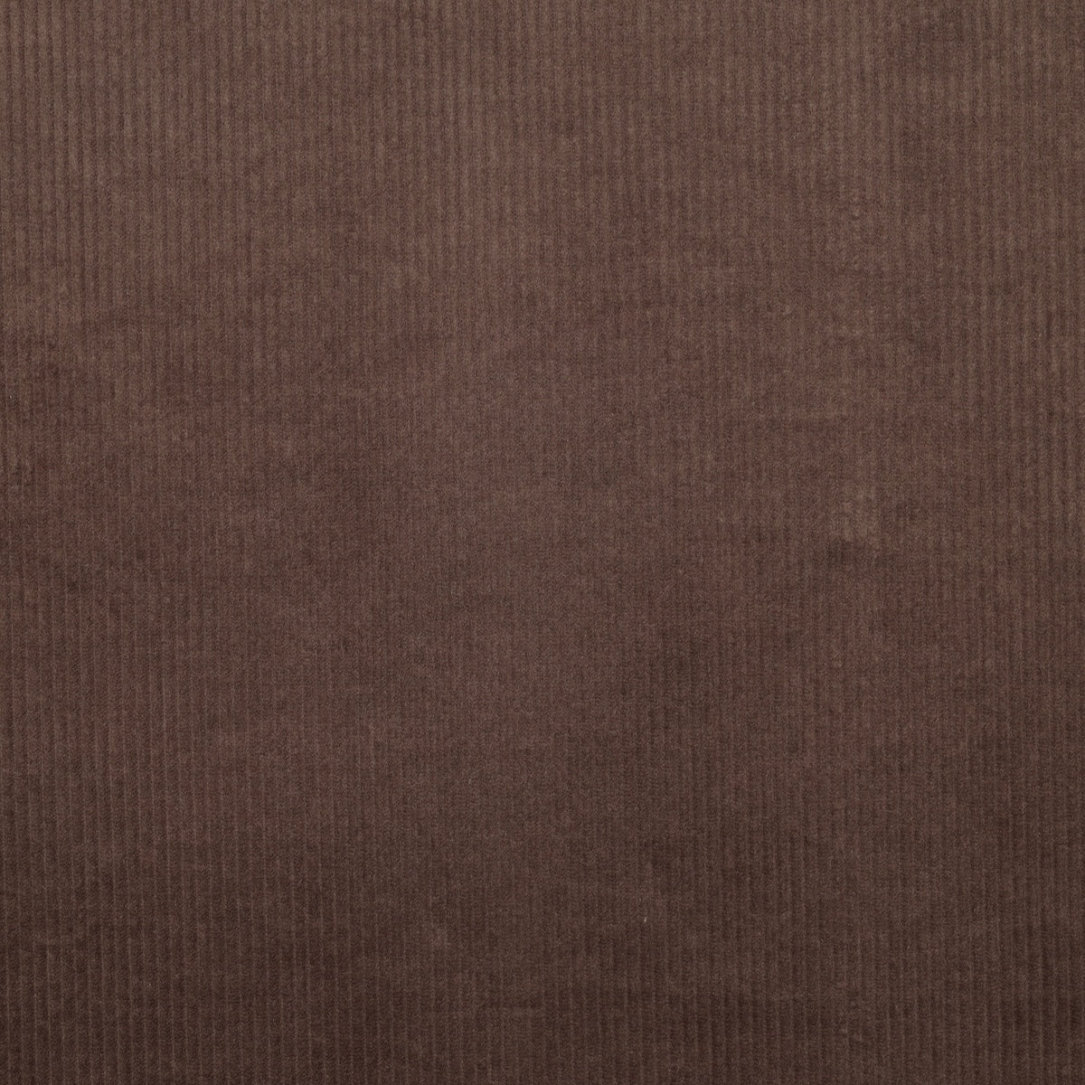 ikat-e-tissu-velours-c-tes-6w-marron-uni image 2
